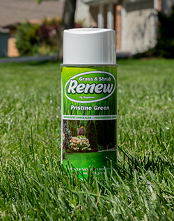 Renew