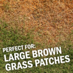 Image of large brown patches of grass next to healthy green grass; text overlay reads 