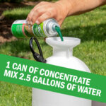 Person pouring green liquid concentrate into a large white sprayer; mixes 1 can of concentrate with 2.5 gallons of water.