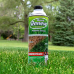 Grass Renew Pristine Green brown spot concealer in a can, shown in a grassy area.