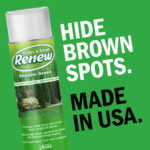 Pristine Green - Professional-Grade Brown Spot Concealer