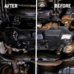 Black (12 oz.) Black (12 oz.)