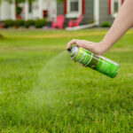 Pristine Green - Professional-Grade Brown Spot Concealer Pristine Green - Professional-Grade Brown Spot Concealer
