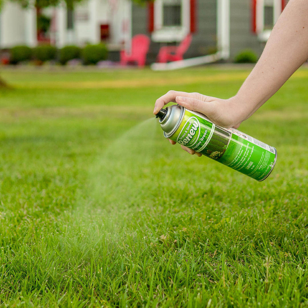 Seymour Renew Grass and Shrub | Pristine Green, 17 oz.