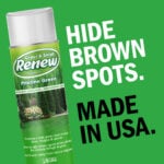 Pristine Green - Professional-Grade Brown Spot Concealer